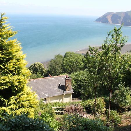 North Walk House Bed & Breakfast Lynton Exterior photo